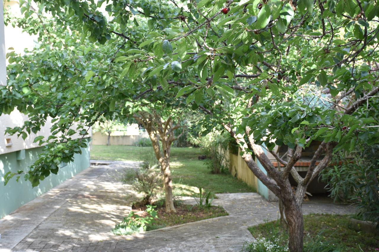 Apartments Antonija Punta Skala Next To Falkensteiner Resort 돈제페트레케인 외부 사진